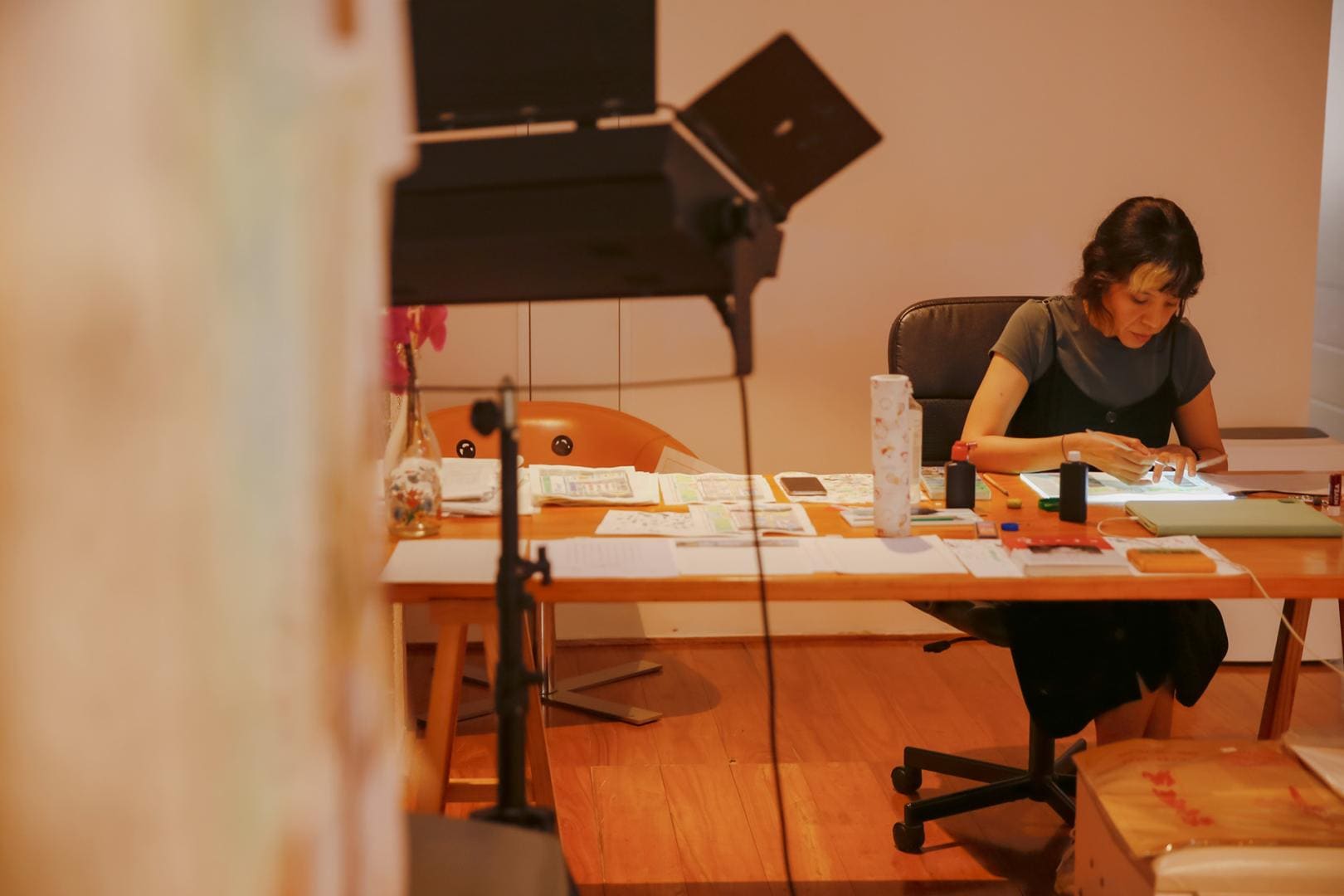 Cristina Zavala Portugal @ work